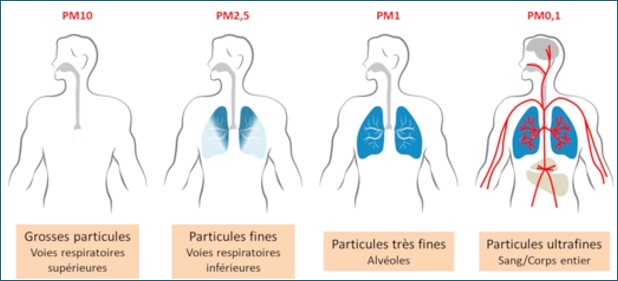 Risques sanitaires des PM10,PM2.5,PM1 et PM0.1